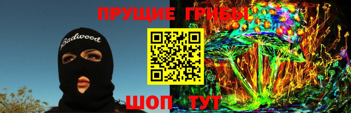 Псилоцибиновые грибы Psilocybe Обь