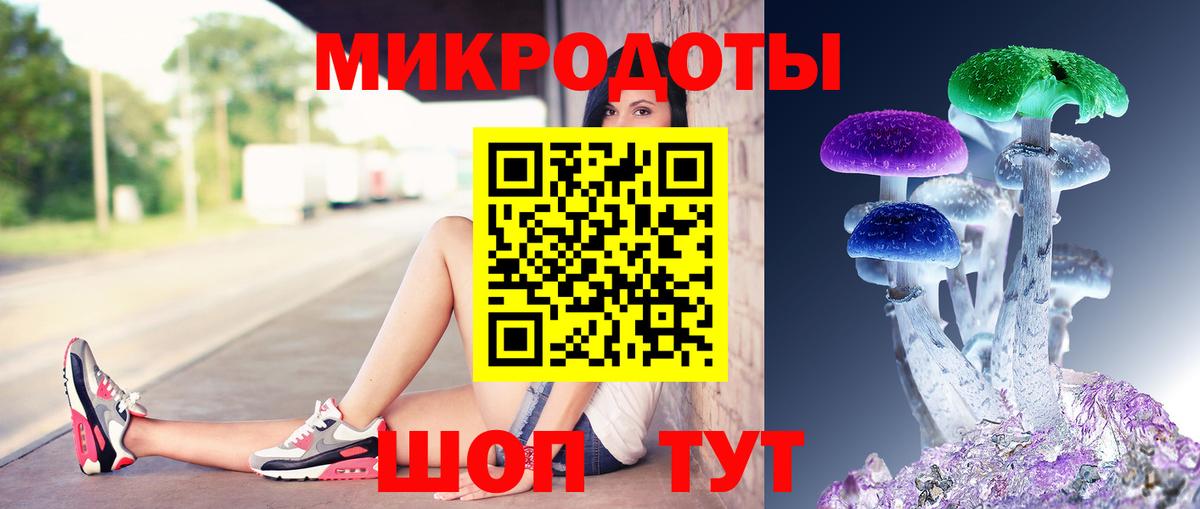 Обь  Псилоцибиновые грибы Psilocybe  Вход с VPN 